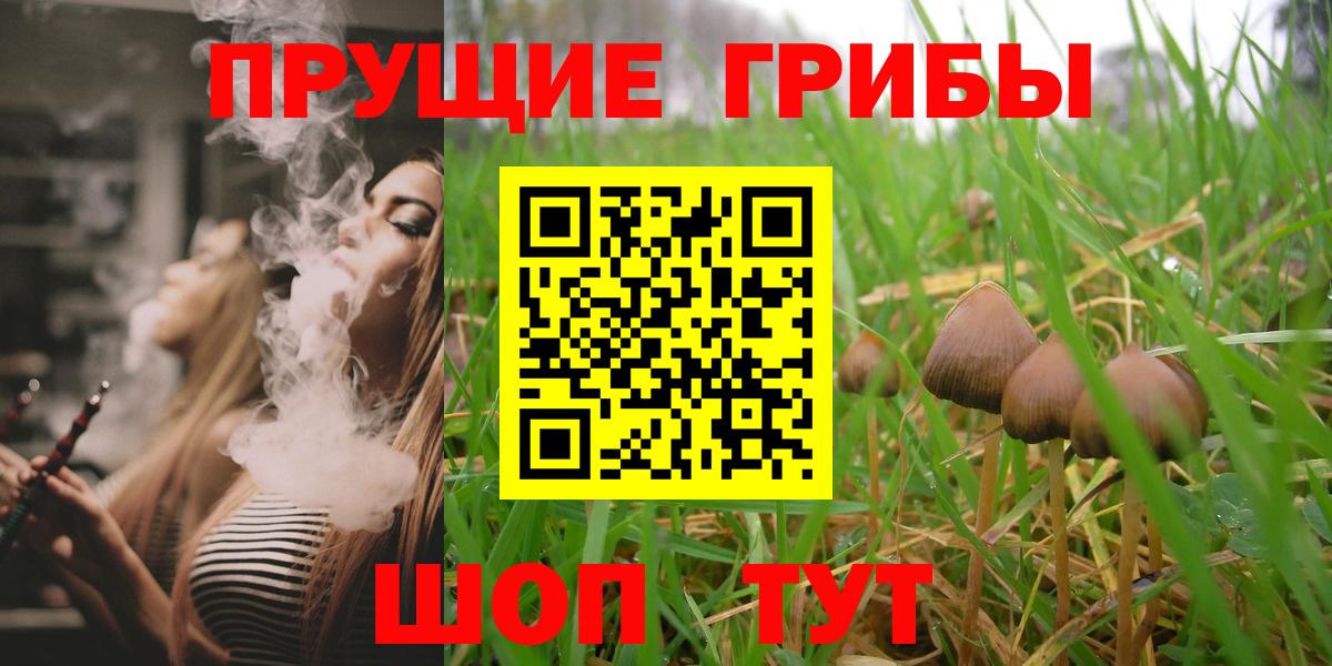 Альметьевск  Галлюциногенные грибы GOLDEN TEACHER  Вход с VPN 